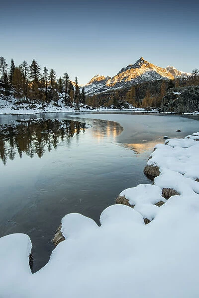 Sasso Moro peak at dawn reflects itself on the iced waters of Mufule Lake. Valmalenco