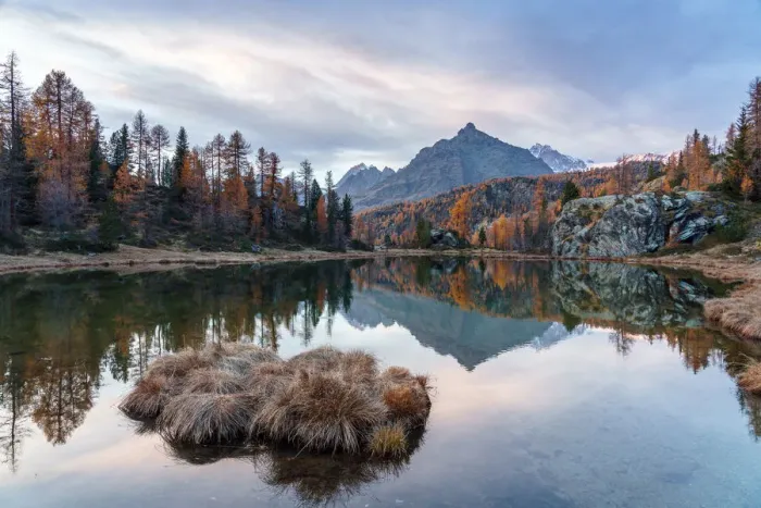 Framed Print : Sasso Moro peak reflected in Mufule lake at twilight, Malenco Valley, Valtellina Framed Print : Sasso Moro peak reflected in Mufule lake at twilight, Malenco Valley, Valtellina