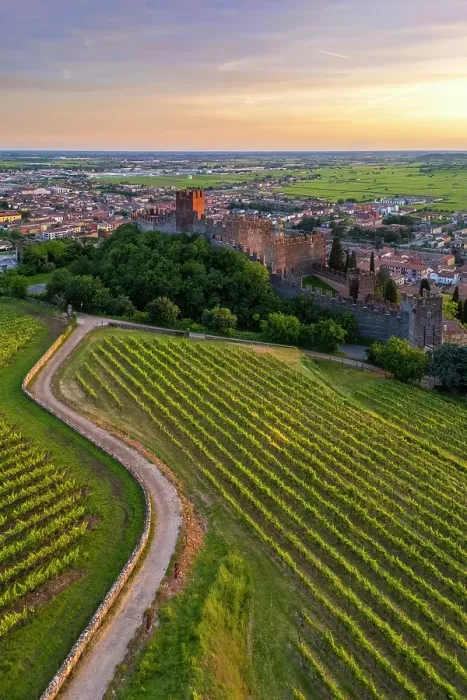 Framed Print : Scaligero castle of Soave at sunset in summer. Verona district, Veneto, Italy Framed Print : Scaligero castle of Soave at sunset in summer. Verona district, Veneto, Italy