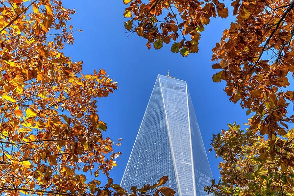 Scenic autumn low angle view of the One World Trade Center, Manhattan, New York, USA