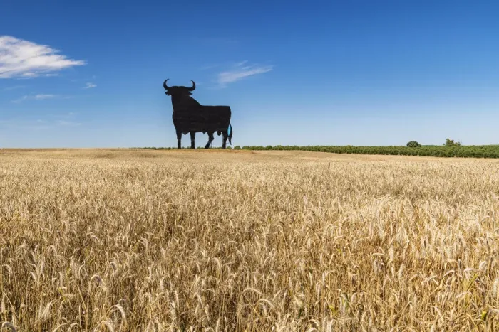 Framed Print : Scenic landscape with a silhouetted image of an Osborne bull billboard in rural Andalusia Framed Print : Scenic landscape with a silhouetted image of an Osborne bull billboard in rural Andalusia
