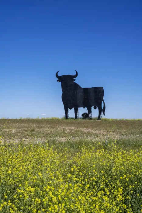 Framed Print : Scenic springtime landscape with a silhouetted image of an Osborne bull billboard in rural Castilla-La Mancha, Spain Framed Print : Scenic springtime landscape with a silhouetted image of an Osborne bull billboard in rural Castilla-La Mancha, Spain
