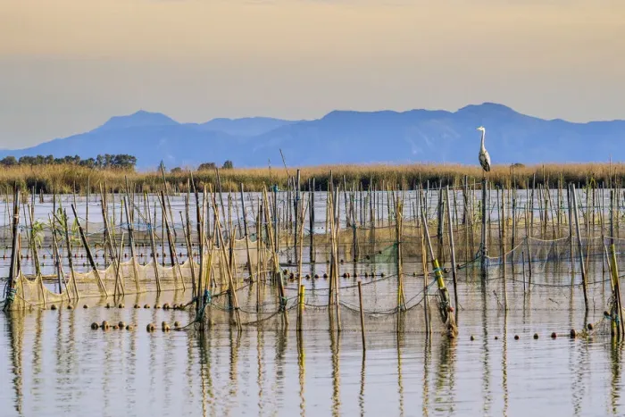 Framed Print : Scenic view of Albufera Natural Park, Valencia, Valencian Community, Spain Framed Print : Scenic view of Albufera Natural Park, Valencia, Valencian Community, Spain