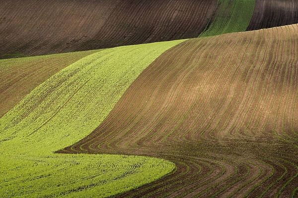 Scenic view of brown and green rolling hills near Kyjov, Hodonin District, South Moravian Region, Moravia, Czech Republic