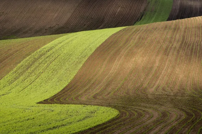 Framed Print : Scenic view of brown and green rolling hills near Kyjov, Hodonin District, South Moravian Region, Moravia, Czech Republic Framed Print : Scenic view of brown and green rolling hills near Kyjov, Hodonin District, South Moravian Region, Moravia, Czech Republic