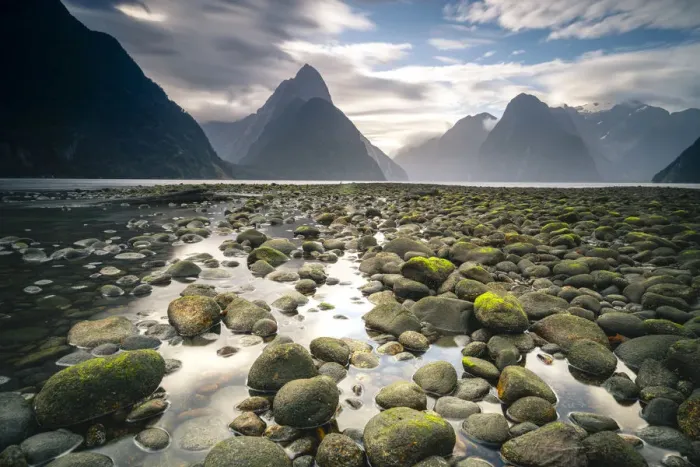 Framed Print : Scenic view of dramatic landscape in Milford Sound formed by glaciers Framed Print : Scenic view of dramatic landscape in Milford Sound formed by glaciers