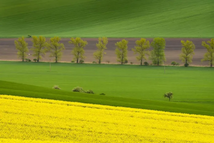 Framed Print : Scenic view of fields near Kyjov, Hodonin District, South Moravian Region, Moravia, Czech Republic Framed Print : Scenic view of fields near Kyjov, Hodonin District, South Moravian Region, Moravia, Czech Republic