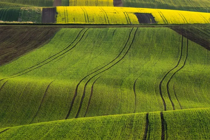 Framed Print : Scenic view of green rolling hills near Kyjov, Hodonin District, South Moravian Region, Moravia, Czech Republic Framed Print : Scenic view of green rolling hills near Kyjov, Hodonin District, South Moravian Region, Moravia, Czech Republic