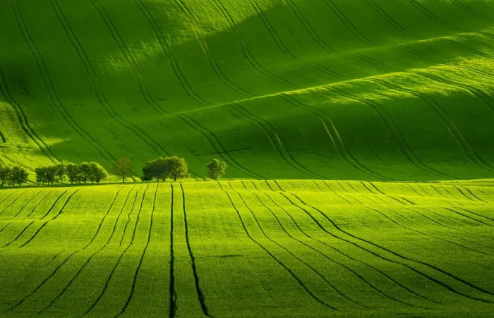 Framed Print : Scenic view of green rolling hills near Kyjov, Hodonin District, South Moravian Region, Moravia, Czech Republic Framed Print : Scenic view of green rolling hills near Kyjov, Hodonin District, South Moravian Region, Moravia, Czech Republic