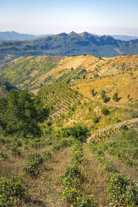 Framed Print : Scenic view of mountainous countryside near Kalaw, Kalaw Township, Taunggyi District Framed Print : Scenic view of mountainous countryside near Kalaw, Kalaw Township, Taunggyi District