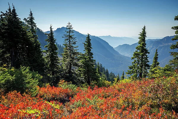 Scenic view of the mountainous valley and beautiful autumn foliage from Artist Point in North Cascades National Park, Washington, USA