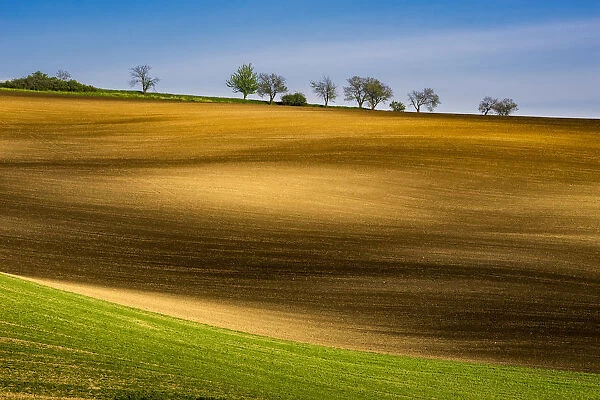 Scenic view of rolling hills near Kyjov, Hodonin District, South Moravian Region, Moravia, Czech Republic