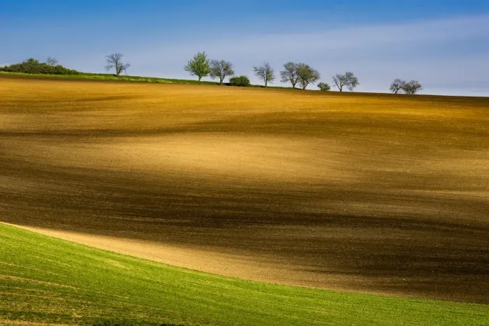 Framed Print : Scenic view of rolling hills near Kyjov, Hodonin District, South Moravian Region, Moravia, Czech Republic Framed Print : Scenic view of rolling hills near Kyjov, Hodonin District, South Moravian Region, Moravia, Czech Republic