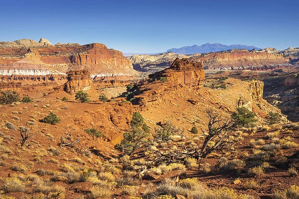 Scenic view of Sunset Point Overlook, Capitol Reef National Park, Utah