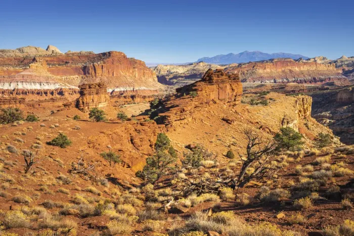 Framed Print : Scenic view of Sunset Point Overlook, Capitol Reef National Park, Utah Framed Print : Scenic view of Sunset Point Overlook, Capitol Reef National Park, Utah