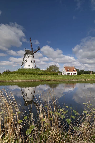 De Schell Molen Windmill Refecting in Damme Canal, Damme, Belgium