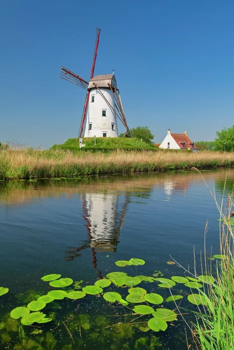 Framed Print : Schellemolen Windmill, Damme, Belgium Framed Print : Schellemolen Windmill, Damme, Belgium