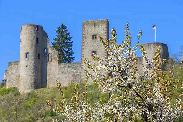 Schonecken castle, Eifel, Rhineland-Palatinate, Germany