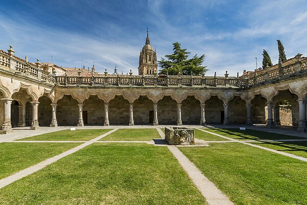 School Courtyard in the University of Salamanca, Salamanca, Castile and Leon, Spain
