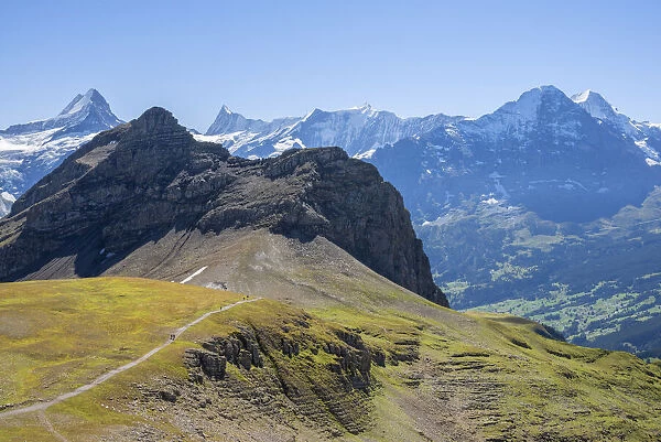 Schreckhorn, Finsteraarhorn, Fiescherhorn, Eiger and Monch seen from Faulhorn, Grindelwald, Berner Oberland, Canton Berne, Switzerland