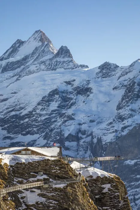 Framed Print : Schreckhorn, Grindelwald First, Grindelwald, Jungfrau Region, Berner Oberland, Switzerland Framed Print : Schreckhorn, Grindelwald First, Grindelwald, Jungfrau Region, Berner Oberland, Switzerland