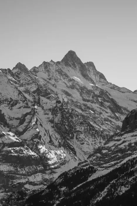 Framed Print : Schreckhorn, Grindelwald, Jungfrau Region, Berner Oberland, Switzerland