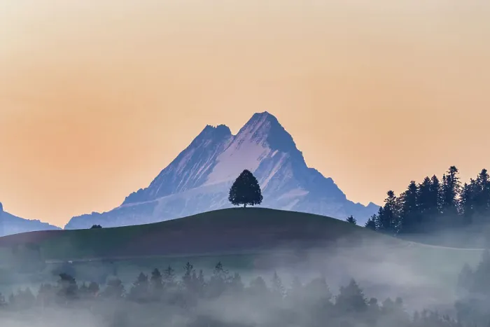 Framed Print : Schreckhorn peak framed by an isolated tree on hill at sunrise, Sumiswald, Emmental, canton of Bern, Switzerland Framed Print : Schreckhorn peak framed by an isolated tree on hill at sunrise, Sumiswald, Emmental, canton of Bern, Switzerland