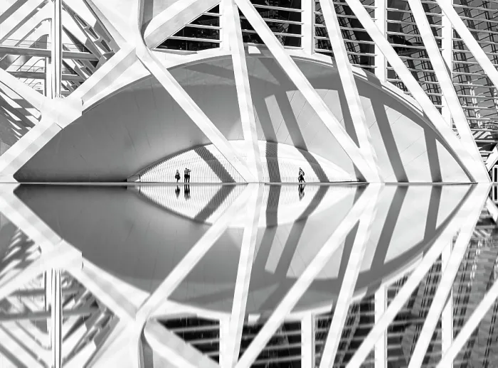 Framed Print : Detail of the Science Museum, Ciudad de los artes y ciencias (City of Arts and Sciences), Valencia, Spain Framed Print : Detail of the Science Museum, Ciudad de los artes y ciencias (City of Arts and Sciences), Valencia, Spain
