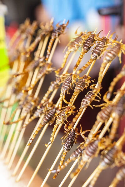 Scorpions on sticks, snack, Beijing, China
