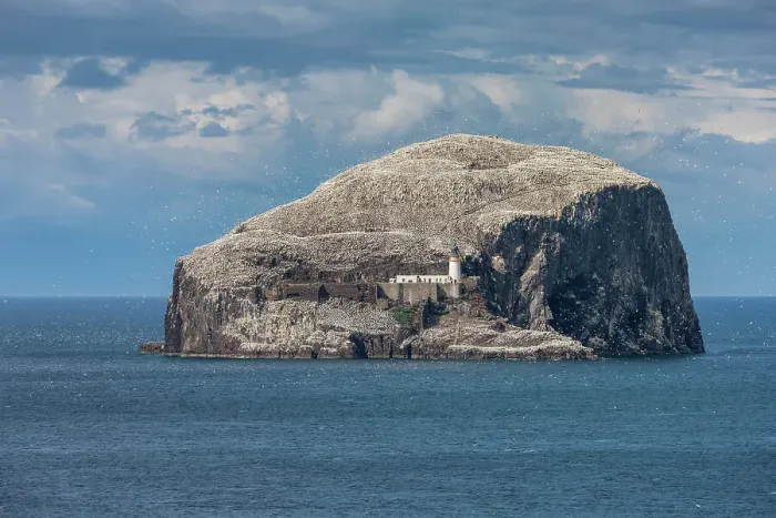 Framed Print : Scotland, East Lothian, Firth of Forth, Bass Rock, bird island, gannets Framed Print : Scotland, East Lothian, Firth of Forth, Bass Rock, bird island, gannets