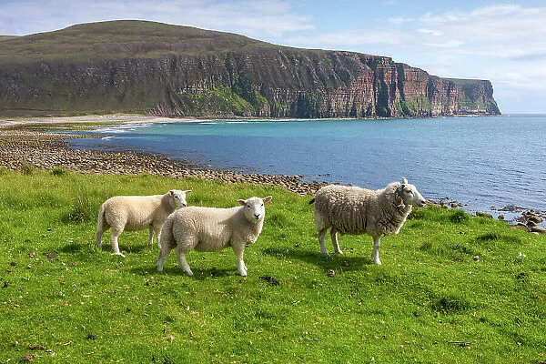 Scotland, Orkney Islands, Island of Hoy, Rackwick Bay