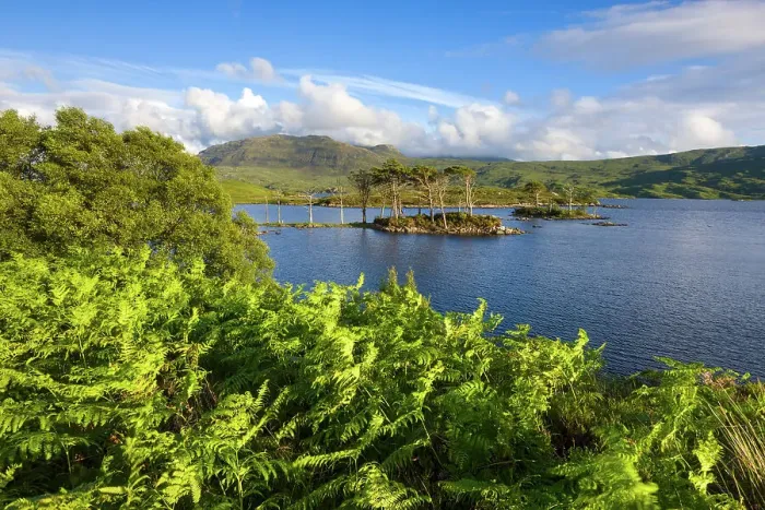 Framed Print : Scotland, Sutherland, Loch Assynt Framed Print : Scotland, Sutherland, Loch Assynt