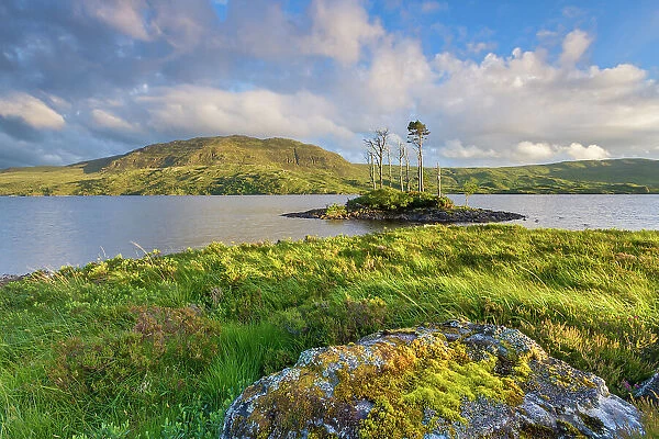 Scotland, Sutherland, Loch Assynt