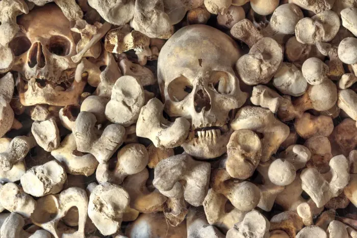 Framed Print : Sculls and bones, ossuary of the church of Santa Maria de Wamba, Valladolid, Castile Framed Print : Sculls and bones, ossuary of the church of Santa Maria de Wamba, Valladolid, Castile