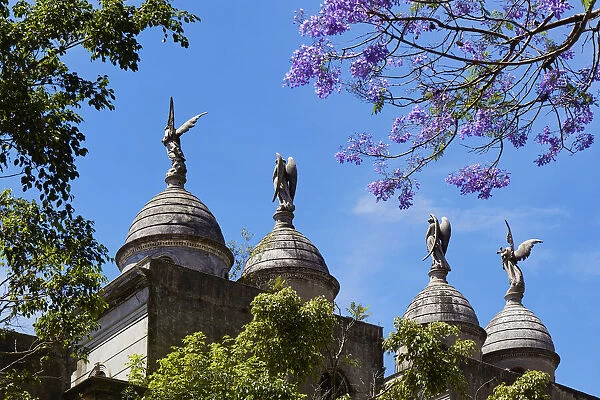 Sculptures of angels inside the Recoleta monumental cemetery during springtime with