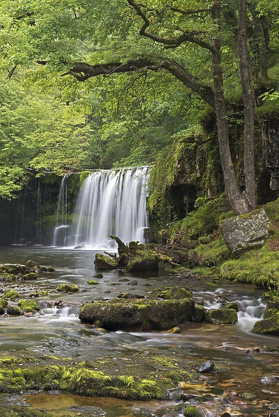 Scwd Ddwli waterfall on the Nedd Fechan River near Ystradfellte, Brecon Beacons, Wales