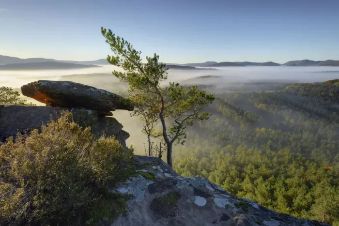 Framed Print : Sea of fog in the Palatinate Forest in the morning, Dahner Felsenland, Palatinate Forest