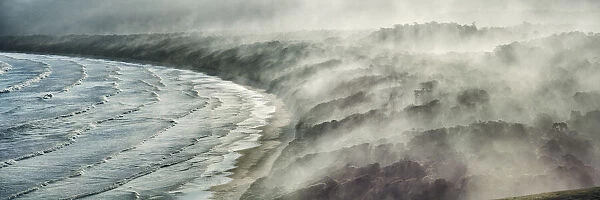 Sea fog at Tautuku Bay - New Zealand, South Island, Otago, Clutha, Catlins