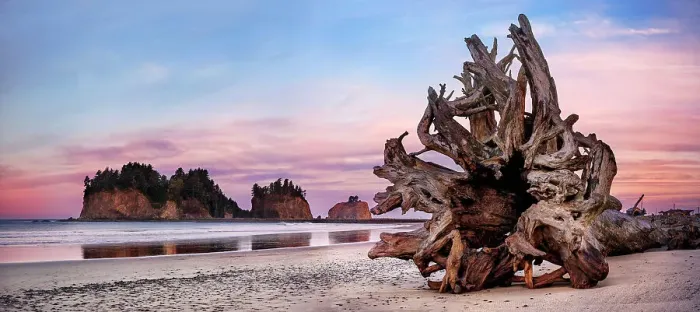 Framed Print : Sea Stacks at First Beach, sunrise, La Push Olympic national Park, Washington State, USA Framed Print : Sea Stacks at First Beach, sunrise, La Push Olympic national Park, Washington State, USA