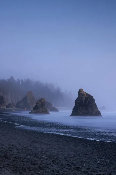 Framed Print : Sea stacks at Ruby beach, Olympic National Park, Washington, USA Framed Print : Sea stacks at Ruby beach, Olympic National Park, Washington, USA