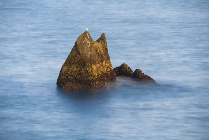 Framed Print : Seagull perching on rock formation at Valahnukamol, Reykjanes Peninsula, Iceland Framed Print : Seagull perching on rock formation at Valahnukamol, Reykjanes Peninsula, Iceland