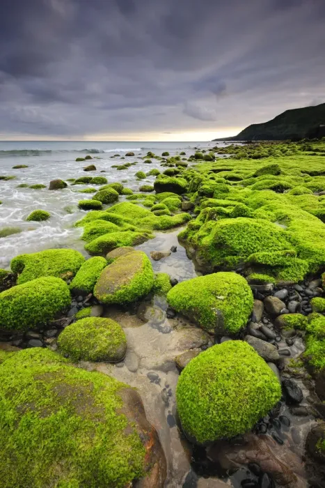 Framed Print : Seaside with lava rocks at Praia Formosa. Santa Maria, Azores islands, Portugal Framed Print : Seaside with lava rocks at Praia Formosa. Santa Maria, Azores islands, Portugal