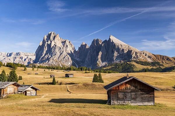 Seiser Alm, Alpe di Siusi, Dolomites, Veneto, Italy, Europe