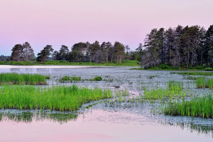 Framed Print : Seney wetlands at dawn in early summer, Seney NWR, Michigan, USA