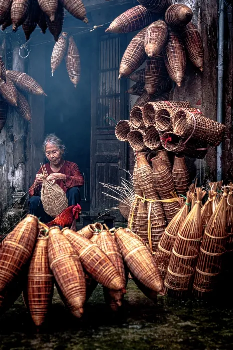 Framed Print : Senior woman weaving traditional bamboo fish traps, Hanoi, Vietnam. (MR) Framed Print : Senior woman weaving traditional bamboo fish traps, Hanoi, Vietnam. (MR)