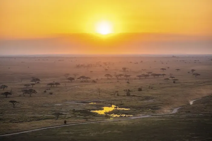 Framed Print : Serengeti landscape at sunrise, Serengeti National Park, Tanzania Framed Print : Serengeti landscape at sunrise, Serengeti National Park, Tanzania
