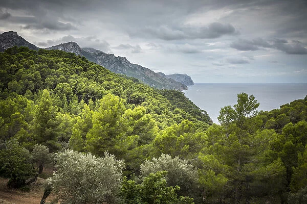 Serra de Tramuntana, Mallorca (Majorca), Balearic Islands, Spain