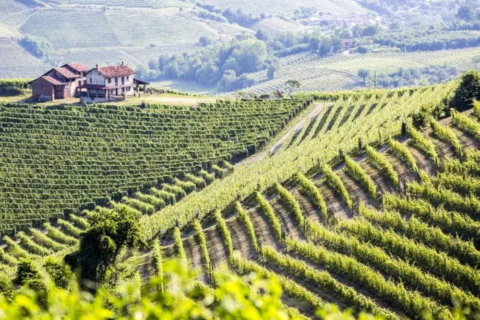 Framed Print : Serralunga d Alba, Barolo wine region, Langhe, Piedemont, Italy Framed Print : Serralunga d Alba, Barolo wine region, Langhe, Piedemont, Italy