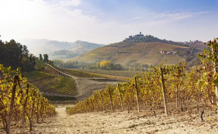 Framed Print : Serralunga d Alba, Langhe, Piedmont, Italy. Autumn landscape with vineyards and hills