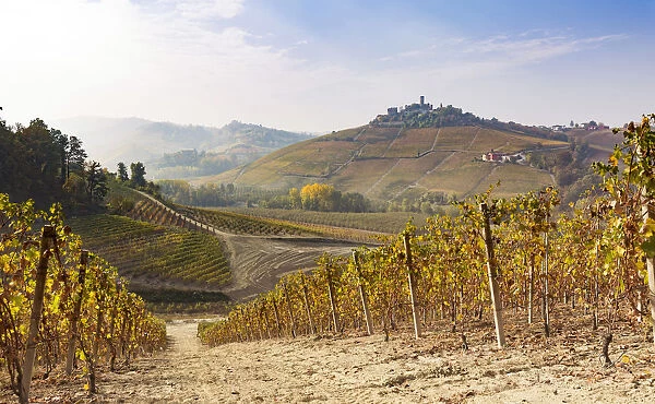 Serralunga d Alba, Langhe, Piedmont, Italy. Autumn landscape with vineyards and hills